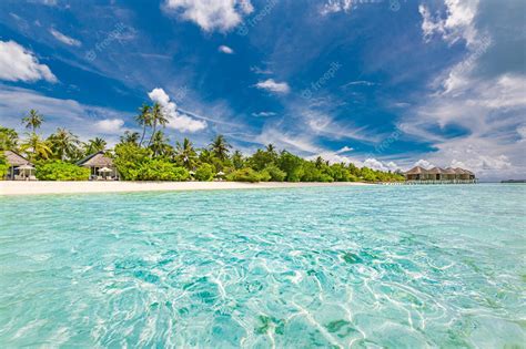 Premium Photo Paradise Sunny Beach White Sand Coco Palms And