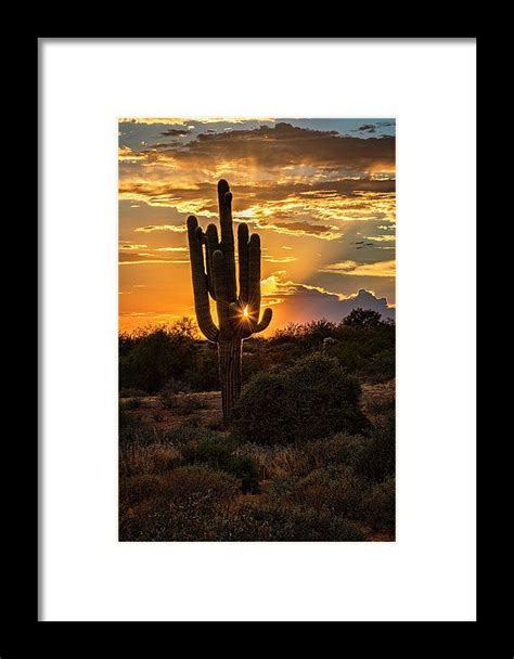 A Summer Desert Evening Framed Print By Saija Lehtonen Summer Deserts