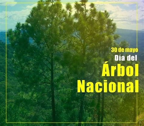 30 De Mayo Día Del Árbol En Honduras Hondurasensumanos Noticias