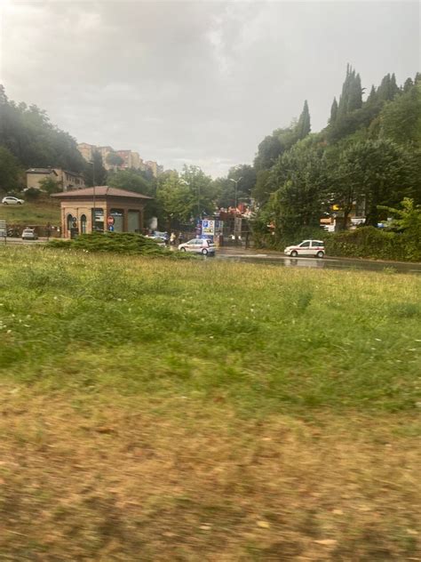 Maltempo A Siena Cade Un Albero In Viale Vittorio Veneto Il Video