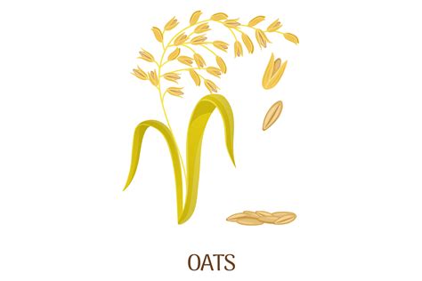 Oats Cartoon Illustration. Cereal Grain Graphic by smartstartstocker ...