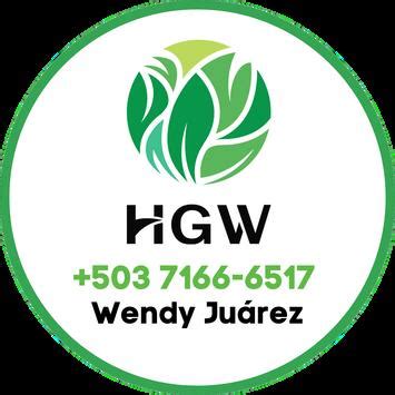 CATÁLOGO DE PRODUCTOS HGW by wendyjuarez hgw Issuu