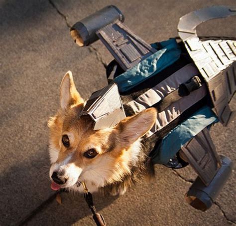 Dog Costumes Inspired by Movies