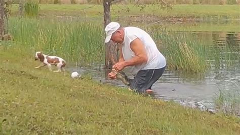 Florida Man Jumps Into Pond Wrestles Alligator To Save Puppy