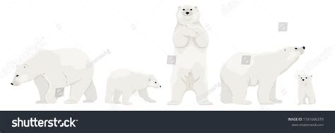 1,207 Mother and baby polar bear Stock Illustrations, Images & Vectors ...