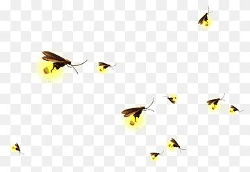 Fireflies Png Images Pngwing