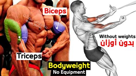 Biceps And Triceps Workout No Equipment Eoua Blog