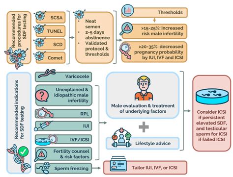 A Pictorial Summary Of The Recommendations For Sperm Dna Fragmentation