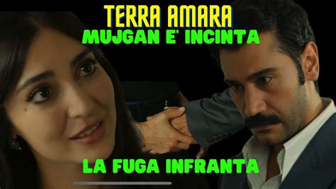 TERRA AMARA Anticipazioni Mujgan Incinta Stravolge La Fuga Di Yilmaz E