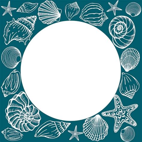 Premium Vector Seashells Frame Sea And Ocean Design Template Vector