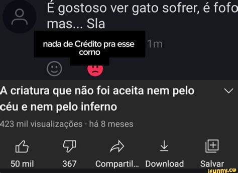 Gostoso Ver Gato Sofrer Fofo Mas Sla Nada De Cr Dito Pra Esse