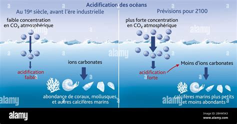 Acidification des océans cartographie d un phénomène 10 fois plus