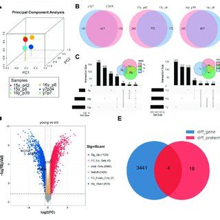 Identification Of Differentially Expressed Genes In Transcriptome And