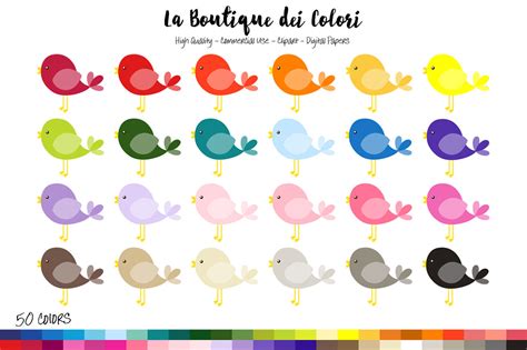 50 Rainbow Kawaii Bird Clipart By La Boutique Dei Colori TheHungryJPEG