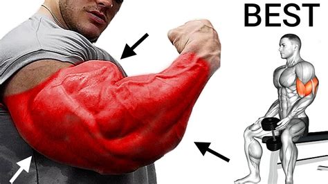 Best Workout For Bicep Tricep And Forearms To Build Youtube