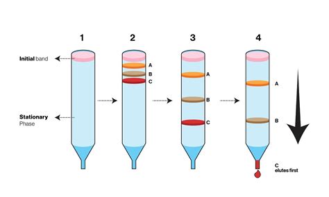 Gel Permeation Chromatography Gpc An Overview