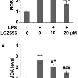 LCZ696 Mitigates Lipopolysaccharide LPS Induced Oxidative Stress In