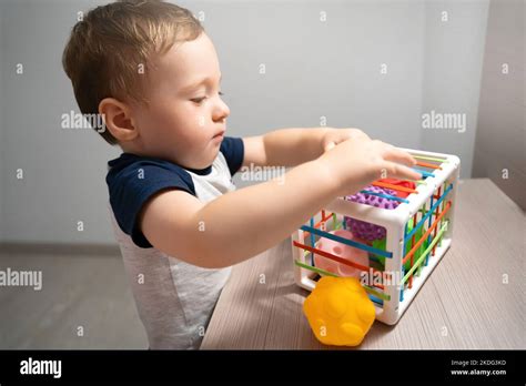 Un Ni O Peque O Lindo Est Jugando Un Juego Con Bolas Sensoriales De