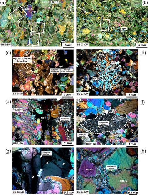 Photomicrographs Of Coarse Porphyroclastic Spinel Websterites