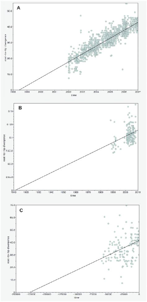 Root To Tip Regression Analyses Plots Of The Root To Tip Genetic Download Scientific Diagram