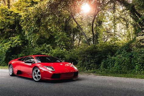 Rojo Murciélago Camino Fondo de pantalla HD Wallpaperbetter