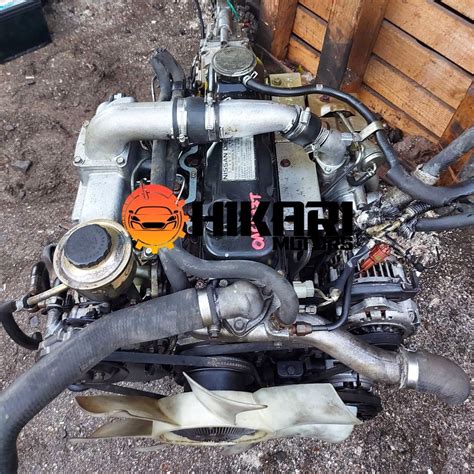 Motor Nissan Terrano QD32 3 2 Hikari Motors