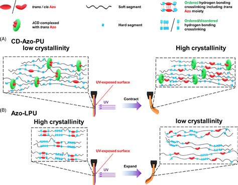 Supramolecular Photoresponsive Polyurethane With Movable Crosslinks