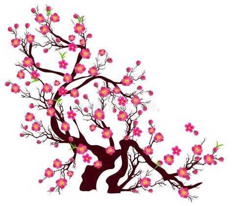 Vector Cherry Blossom For Chinese New Year And Lunar New Year Stock Vector Illustration Of