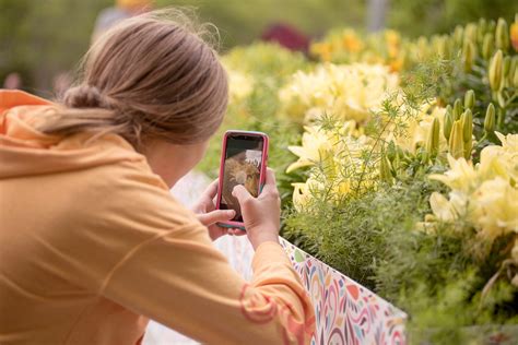 All New Show Bloom With A View Goes Live At The North Carolina