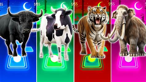 🐃funny Buffalo Vs 🐄funny Cow Vs Funny Tiger🐆 🦣funny Mammoth Coffin