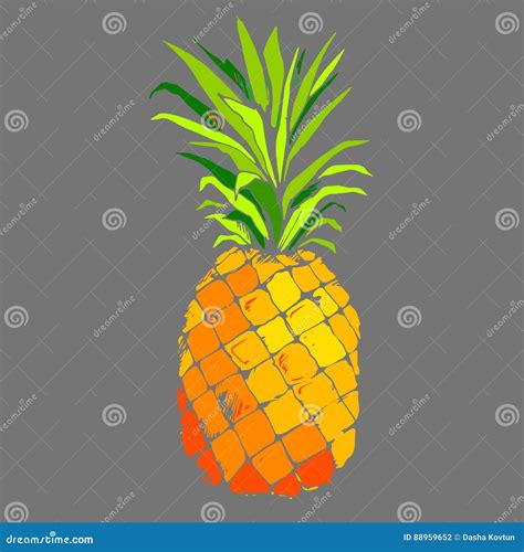 Pineapple Vector Fruit Food Tropical Summer Design Illustration Background Sweet Stock Vector