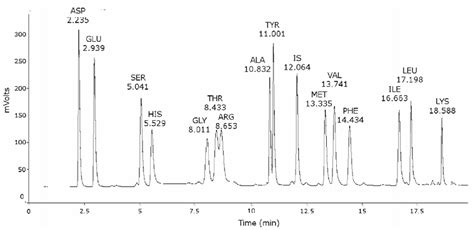 Amino Acids Standard Chromatogram Note Each Amino Acid And Internal Download Scientific