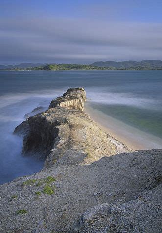 Crocodile Island Philippines - Crocodile