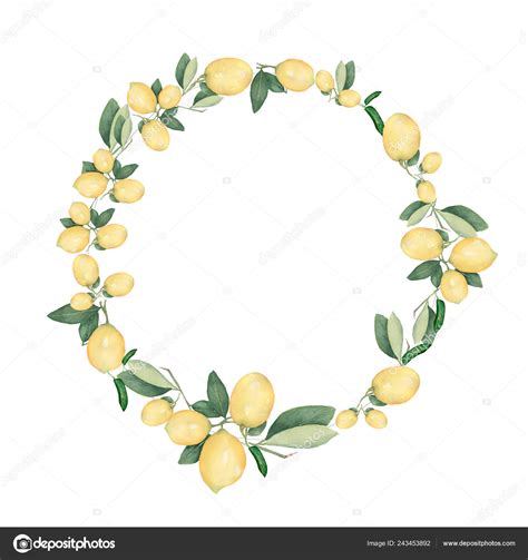 Hand Drawn Frame Watercolor Lemon Watercolor Illustration Wreath Lemon