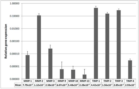 MMP And TIMP MRNA Expression Of All Samples Quantitative Real Time PCR