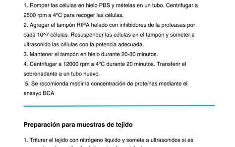 Protocolo de Inmunoprecipitación Abyntek Biopharma