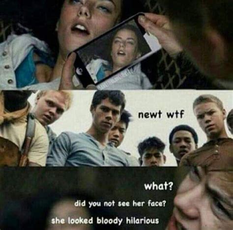 The Maze Runner Maze Runner Thomas Maze Runner Funny Maze Runner