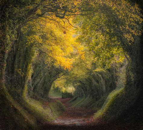 Award Winning Landscape Photography