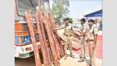 Andhra Pradesh Chittoor Police Seize Rs Crore Worth Red Sanders