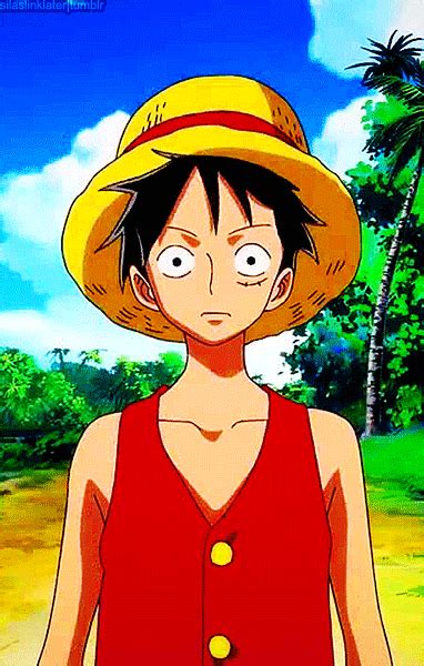 Luffy One Piece Photo 34332551 Fanpop