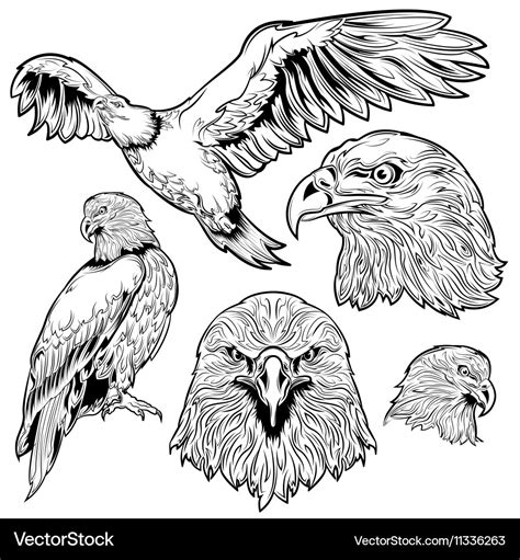 Adler Tattoo Set Lizenzfreies Vektorbild Vectorstock