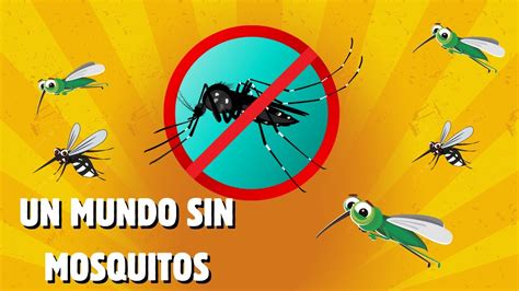 Qué pasaría en el mundo si desaparecen los mosquitos YouTube