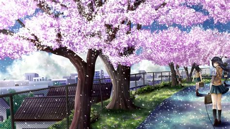 Anime Sakura Tree Live Wallpaper Infoupdate Org