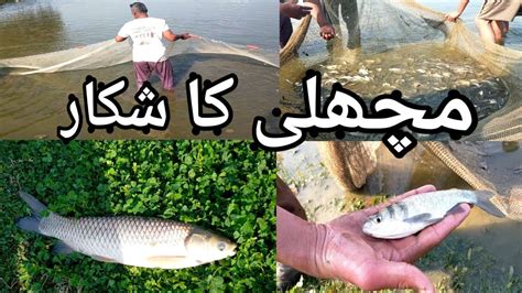 Machli Ka Shikar Fish Hunting YouTube