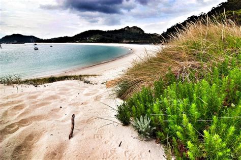 El Parque Nacional De Las Islas Atl Nticas Galicia