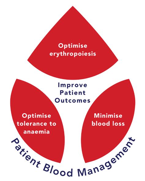 Malaysian Society Of Patient Blood Management