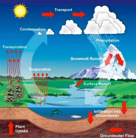 Introduction To Watershed Flashcards Quizlet