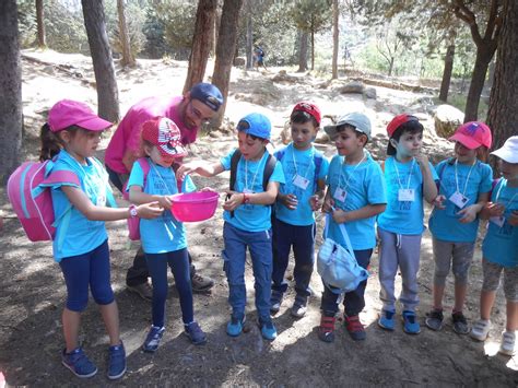 Bloggeando En Infantil Ceip Pedro Duque Excursi N De Fin De Ciclo De