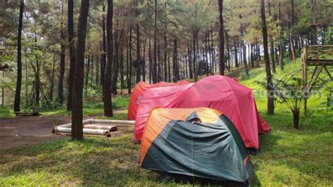 5 Rekomendasi Camping Ground Di Jakarta Dan Sekitarnya Cocok