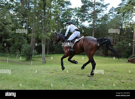 Michael Jung Of Germany With Fischerchipmunk Frh During The Cci4 Cross Country At The Longines